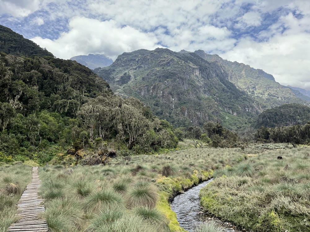 Rwenzori Mountains climbing rates - Discovery Slayers Uganda