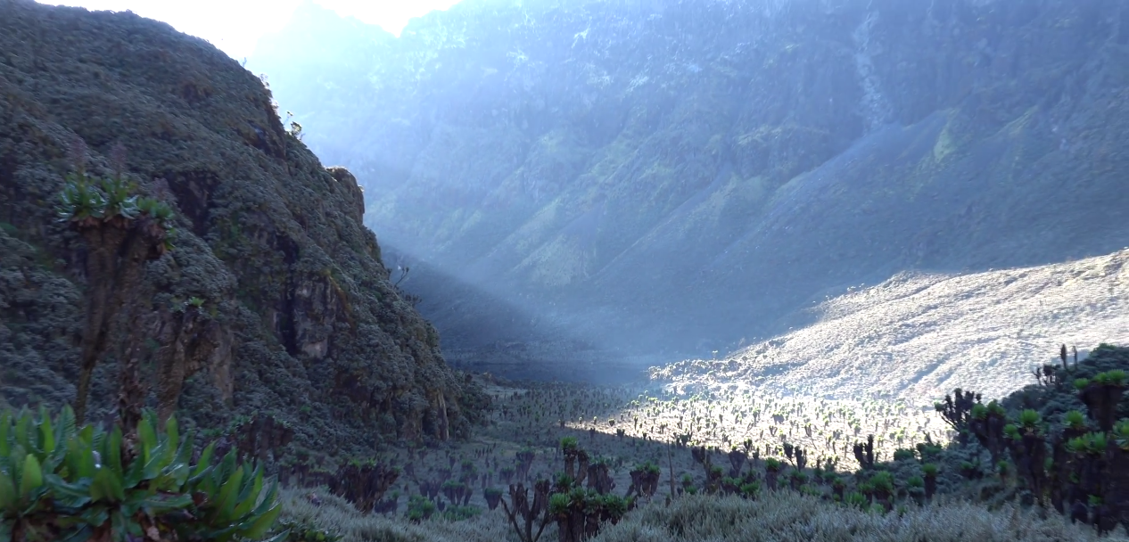 Discovering the Rwenzori Mountains: Ultimate Guide to Mount Stanley and Margherita Peak - Discovery Slayers Uganda