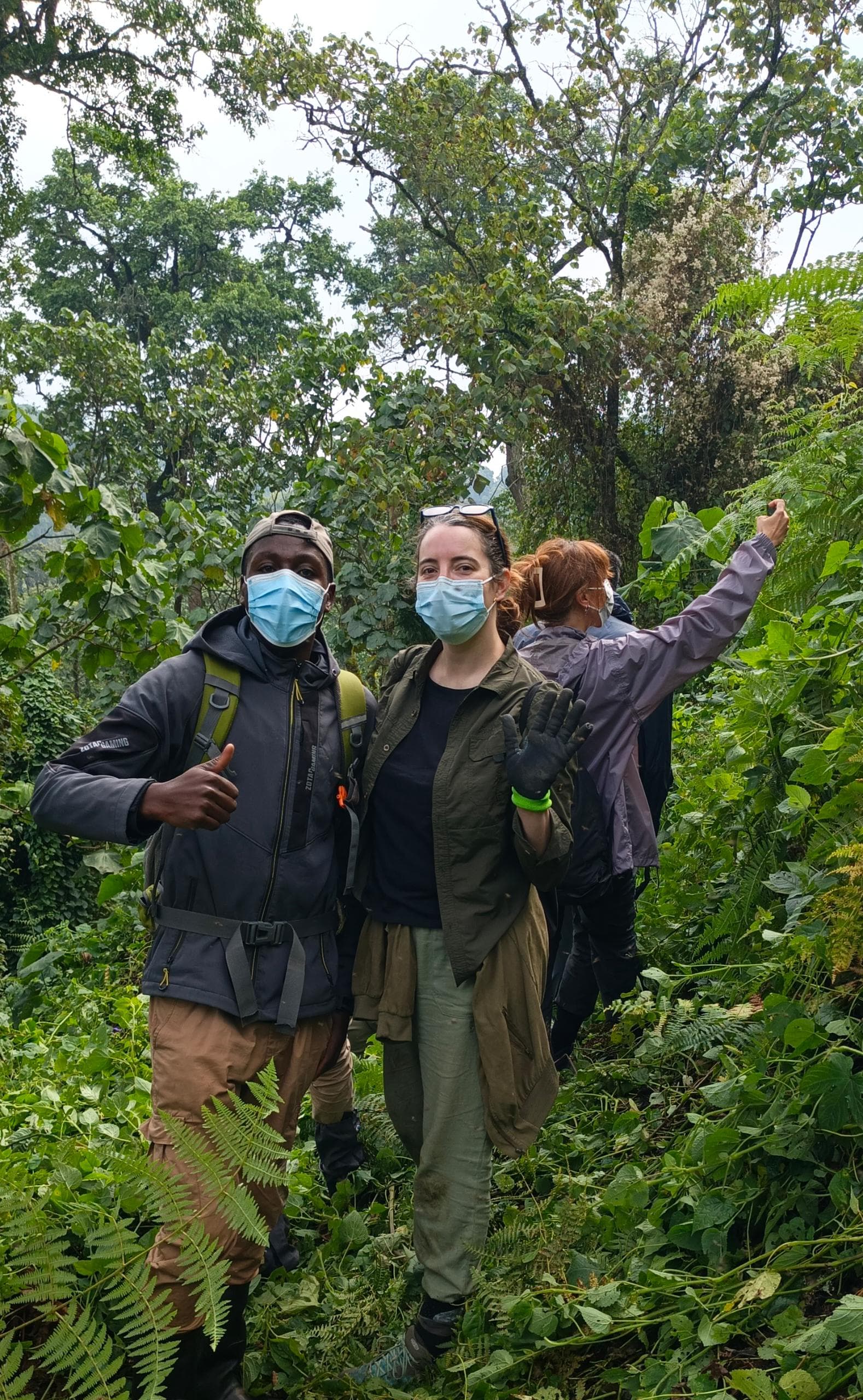 Best Time for Gorilla Trekking in Uganda: Seasonal Tips for an Unforgettable Safari - Discovery Slayers Uganda