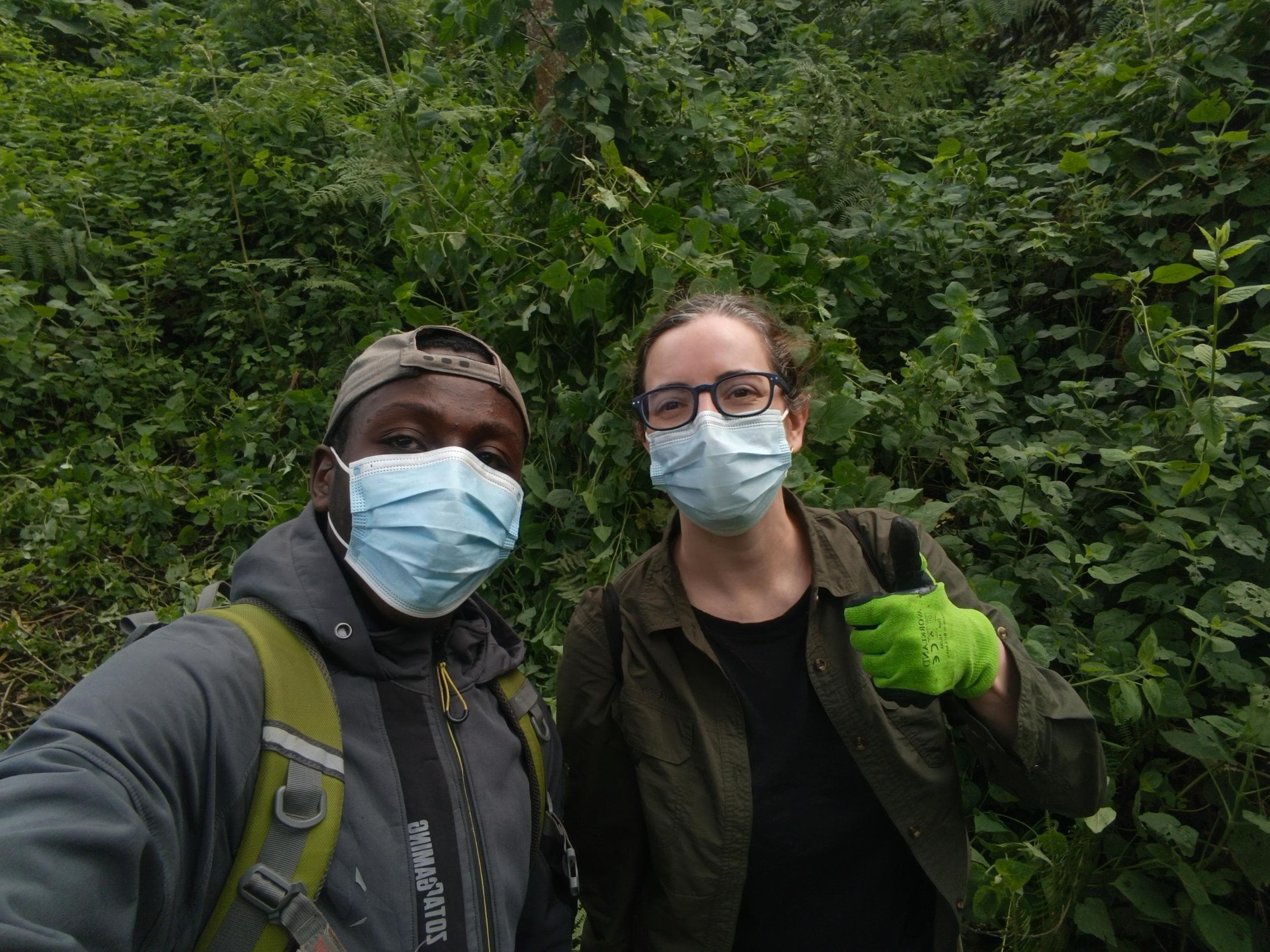 Bwindi Impenetrable Forest: The Heart of Gorilla Trekking in Uganda - Discovery Slayers Uganda