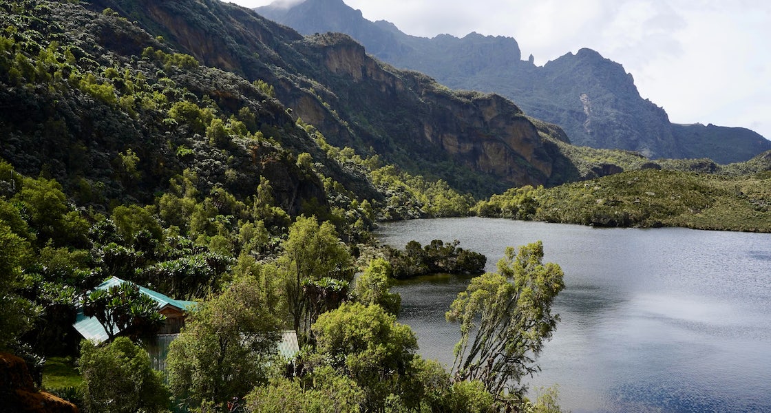 Margherita Peak: Facts, History, and Climbing Insights on Mount Stanley - Discovery Slayers Uganda