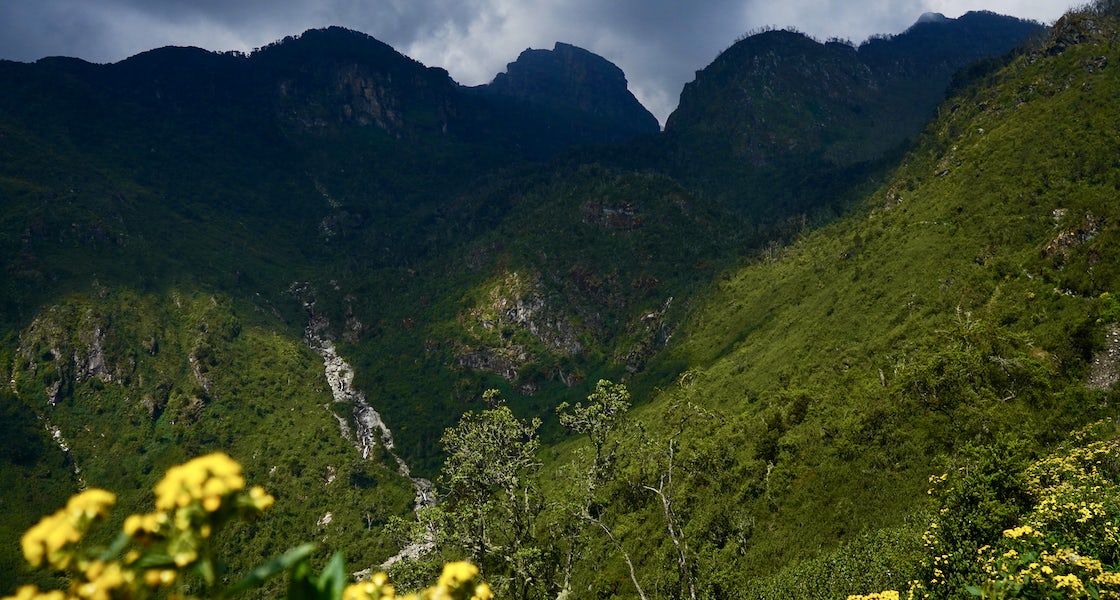 Weather and Best Time to Visit the Rwenzori Mountains in Uganda - Discovery Slayers Uganda