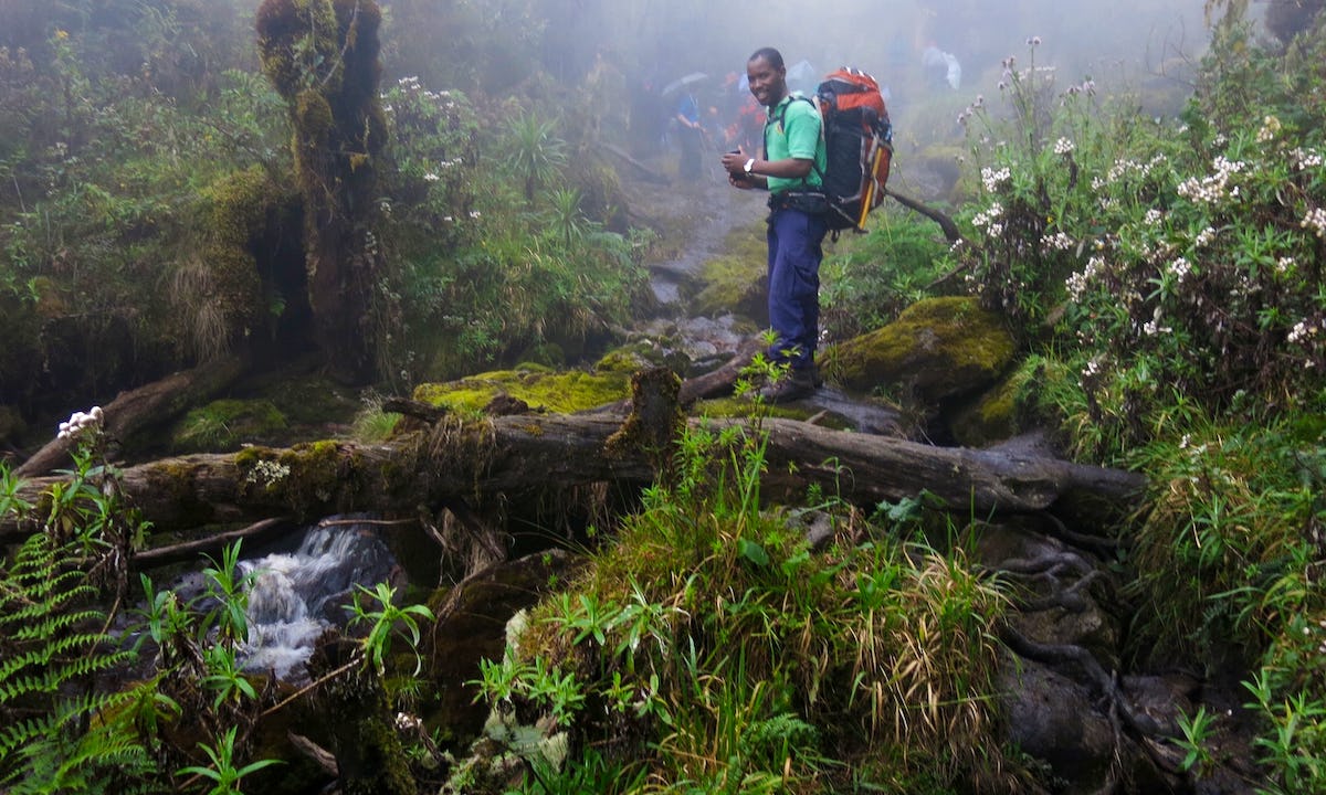Mahoma short Loop, Rwenzori hiking