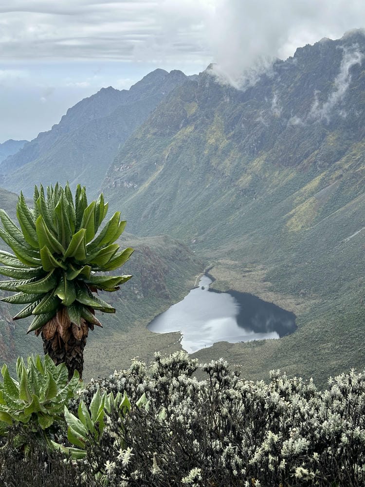 3 Days Trek the Mountains of the Moon, Uganda