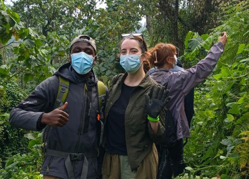 Best Time for Gorilla Trekking in Uganda: Seasonal Tips for an Unforgettable Safari