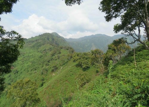 Bwindi National park Safari Lodges & Hotels