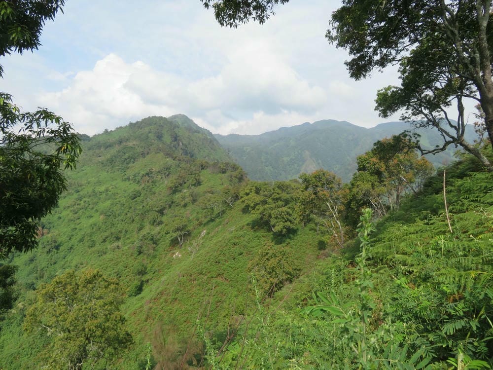 Bwindi National park Safari Lodges & Hotels