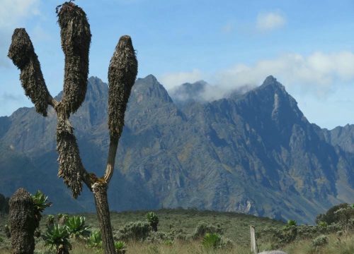 Common Mistakes to Avoid On Mountaineering Tour