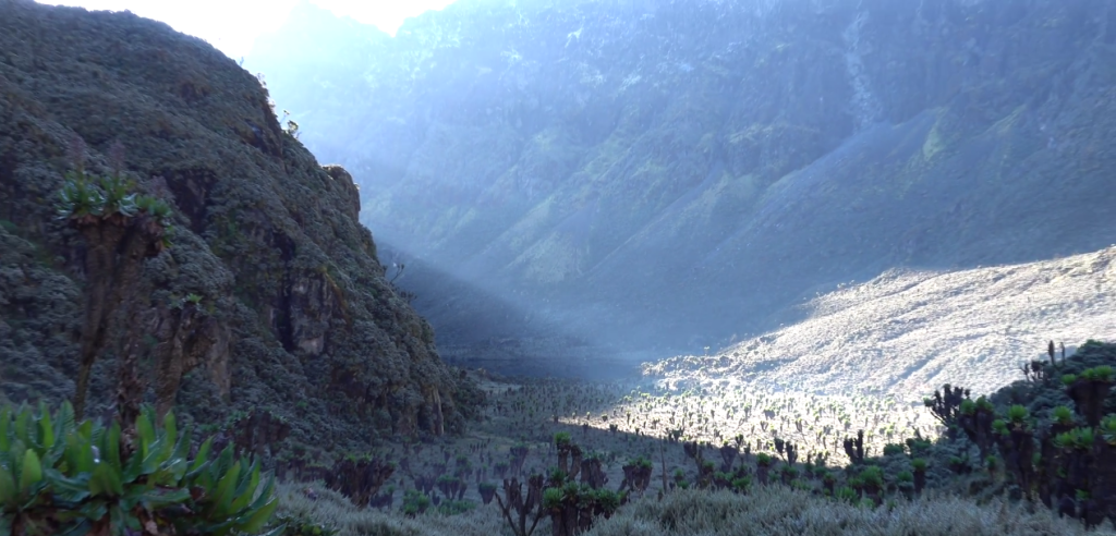 Discovering the Rwenzori Mountains: Ultimate Guide to Mount Stanley and Margherita Peak
