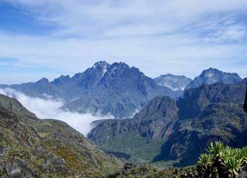 Rwenzori Mountains FAQs