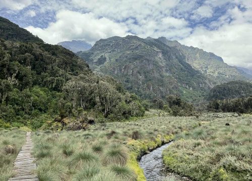 Rwenzori Mountains climbing rates