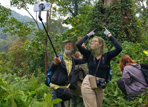What to Pack for Gorilla Trekking in Uganda: Essential Gear for Your Safari Adventure
