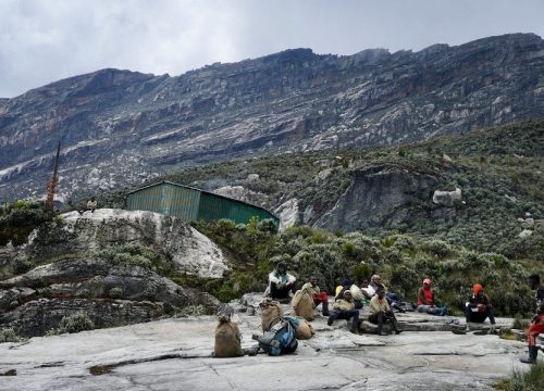 14 Days Rwenzori trekking 4 Peaks climbing Tour