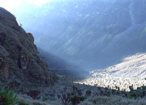 7 Days Mount Stanley Climbing Expedition