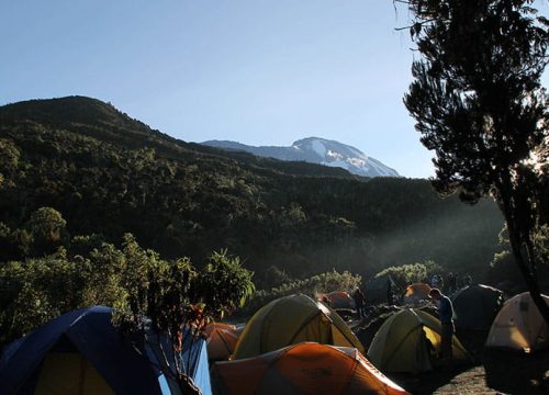 8 Days Kilimanjaro Climb via Marangu Route – The "Coca-Cola" Route to Uhuru Peak