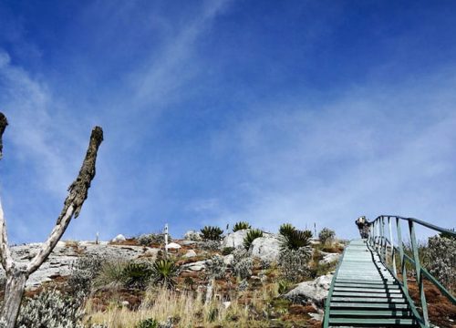 9 Days Walk to Mount Stanley Rwenzoris Mountain ranges