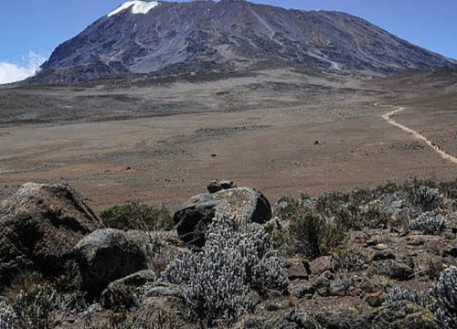 8 Days Kilimanjaro Marangu Route Trekking